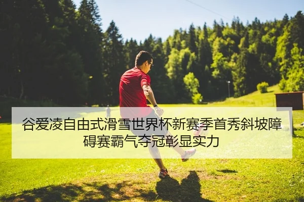 gu-ai-ling-zi-you-shi-hua-xue-shi-jie-bei-xin-sai-ji-shou-xiu-xie-po-zhang-ai-sai-ba-qi-duo-guan-zhang-xian-shi-li-2-296.jpg