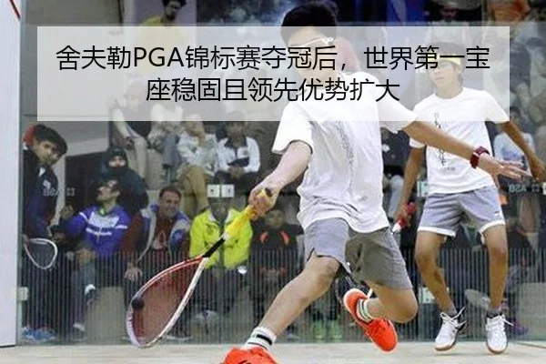 舍夫勒PGA锦标赛夺冠后，世界第一宝座稳固且领先优势扩大